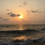 cropped-IMG_4366.jpg