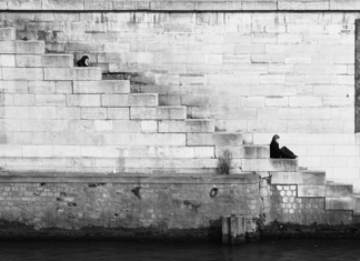 The Pressure to Breastfeed: When I Understood Fed is Best