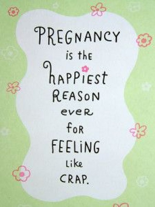 The First Trimester quote