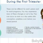 The First Trimester quotes