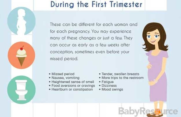 The First Trimester quotes
