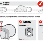 Back-is-Safest—Side-Tummy-Animation