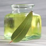 Eucalyptus Oil