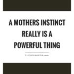 Mothers Instincts