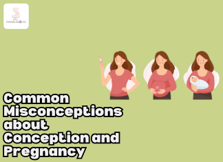 Common Misconceptions about Conception and Pregnancy Common Misconceptions about Conception and Pregnancy