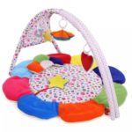 Baby Hug Premium Play Gym with Flower