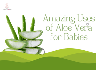 Amazing Uses of Aloe Vera for Babies Amazing Uses of Aloe Vera for Babies