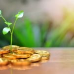 Gold Investment