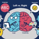 Left-and-Right-Brain