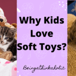 Why Kids Love Soft Toys_