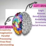 Left-and-Right-Brain