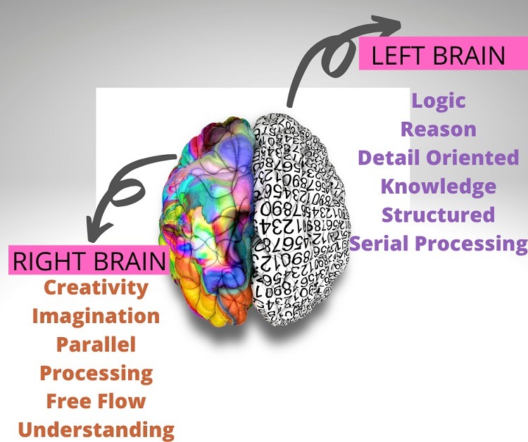 left and right brain for kids