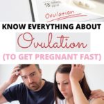 Conceive a baby ovulation