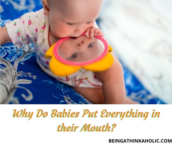 Why Do Babies Put Everything in their Mouth