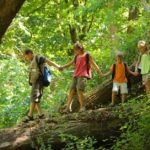 Group of kids in forest walking