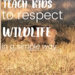 How to Teach Kids To Respect Wildlife