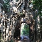 Ranthambore National Park
