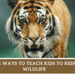 SIMPLE WAYS TO TEACH KIDS TO RESPECT WILDLIFE