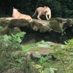 Singapore Zoo