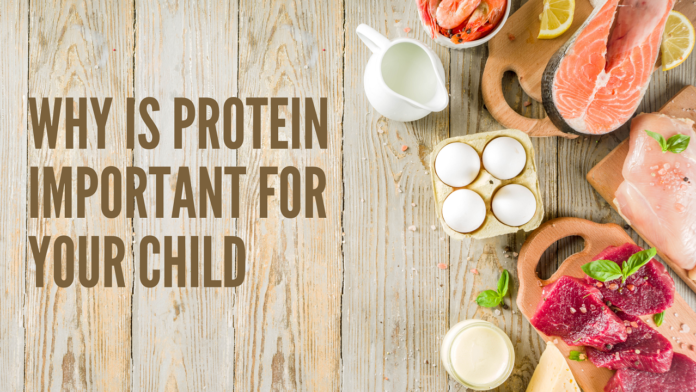 Protein Important for Your Child